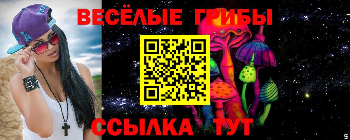 Псилоцибиновые грибы GOLDEN TEACHER  наркошоп  Тула  Галлюциногенные грибы мухоморы  Вход с VPN 
